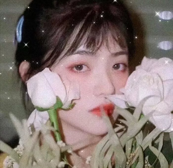 阿拉卡达的秘密